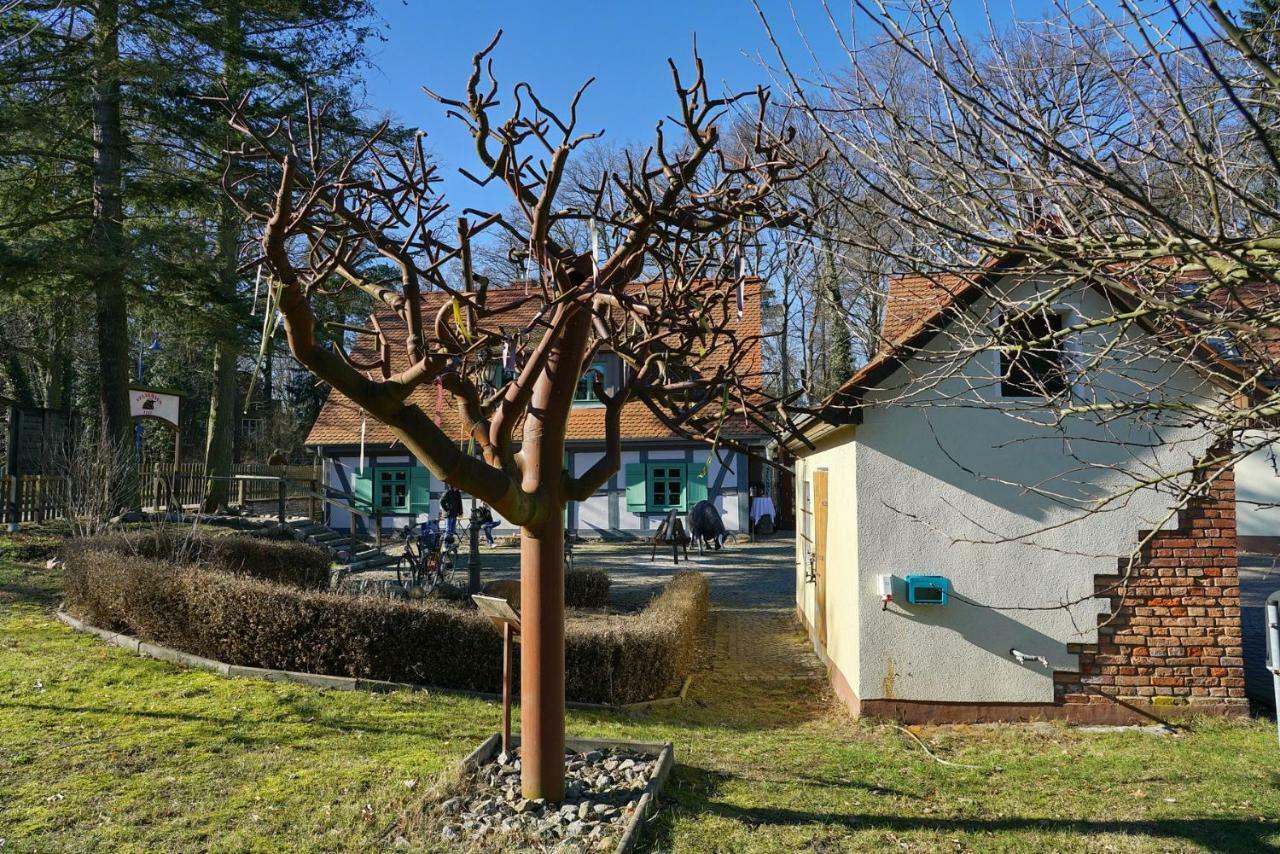 Apartment 4 - Gourmetzimmer Bestensee Εξωτερικό φωτογραφία